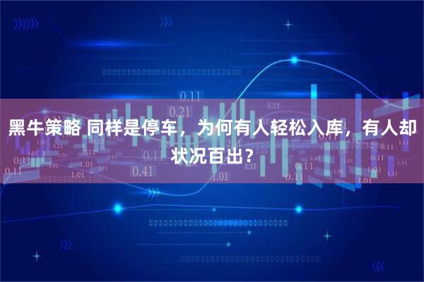 黑牛策略 同样是停车，为何有人轻松入库，有人却状况百出？