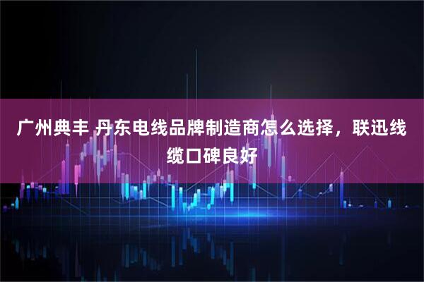 广州典丰 丹东电线品牌制造商怎么选择，联迅线缆口碑良好