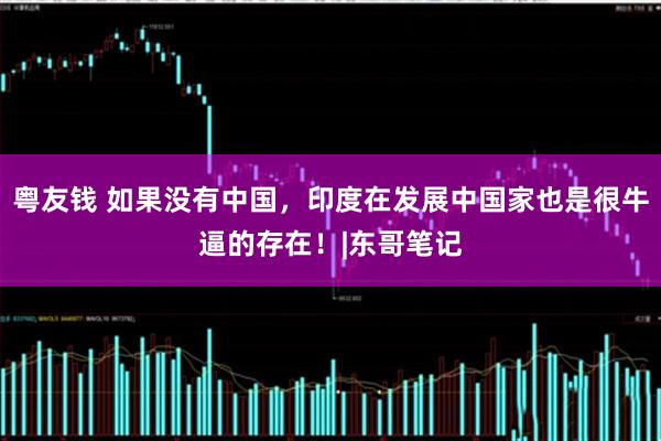 粤友钱 如果没有中国，印度在发展中国家也是很牛逼的存在！|东哥笔记