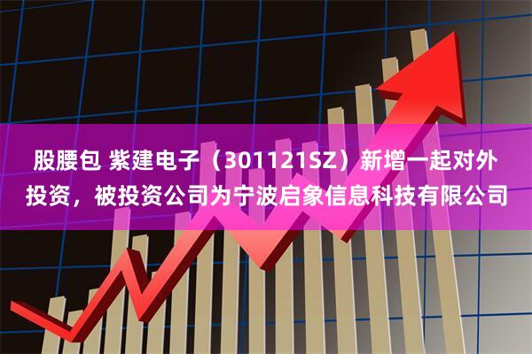 股腰包 紫建电子（301121SZ）新增一起对外投资，被投资公司为宁波启象信息科技有限公司